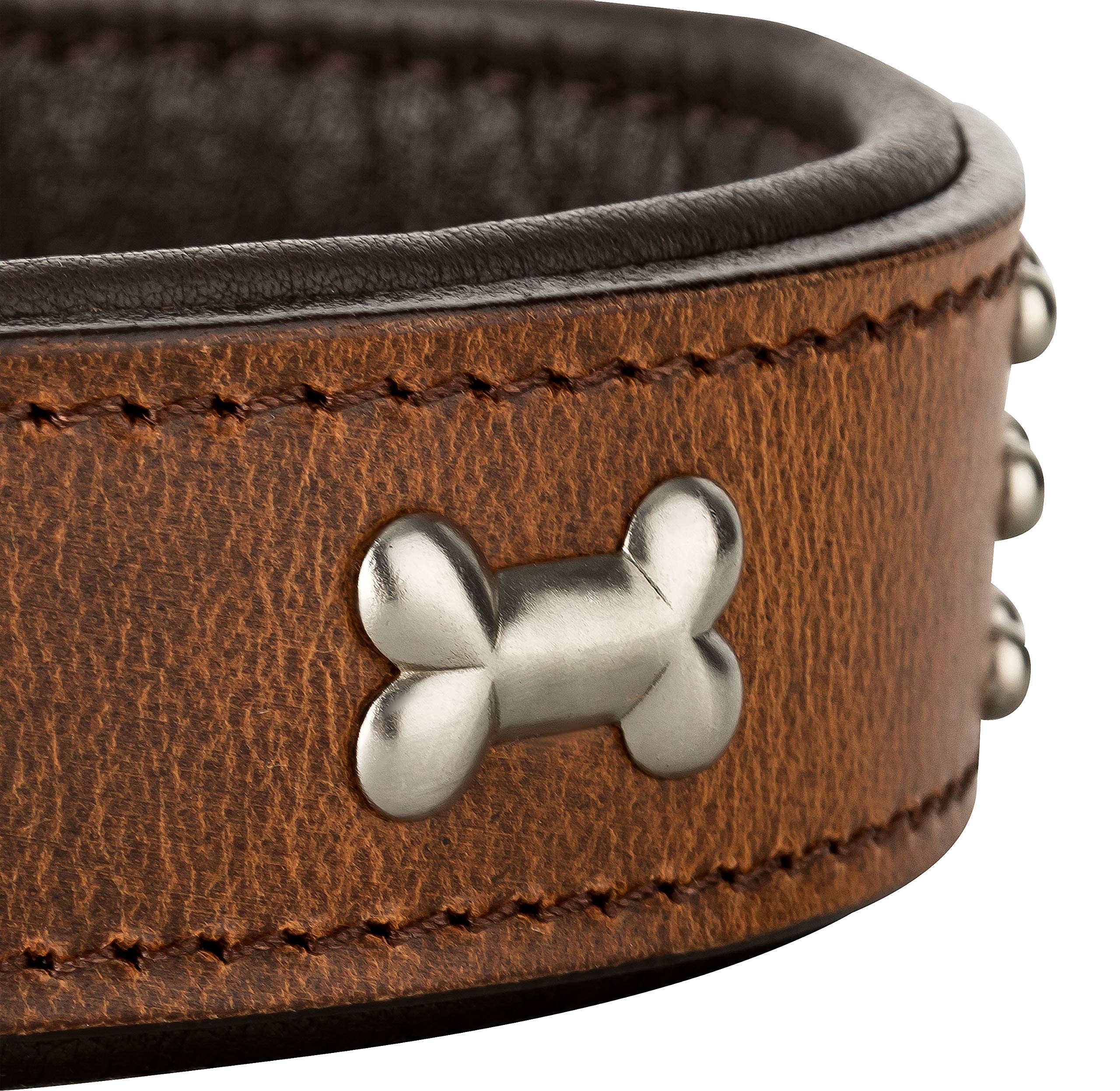 Nala Halsband für Hunde aus Leder mit Applikation und Nieten, Hundehalsband für den großen und mittleren Hund (L - 36-45cm, Braun)