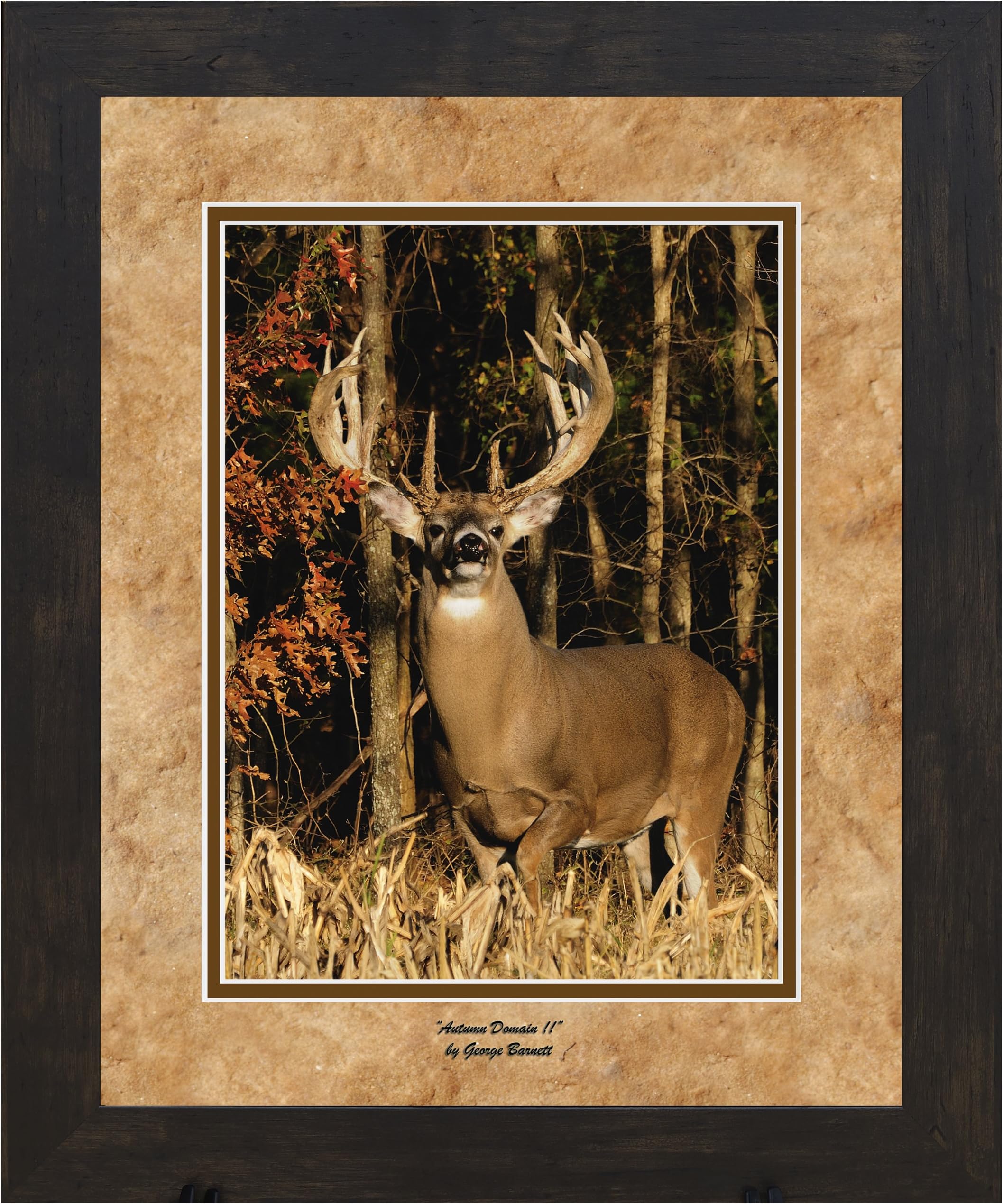 George Barnetts Autumn Domain II Framed Art, 11 by 14-Inch