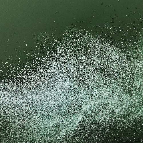 Miniatura 5 de Alfaparf Milano Benvoleo Perfect Again Dry Shampoo Mist - Clean, Vegan, Sustainable Hair Care - GasAerosol Free - Eliminated Residue and Odor -