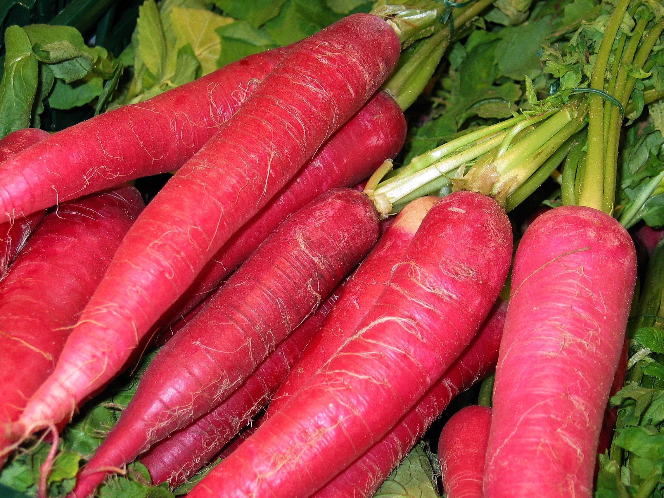 OL Seed Carrot Seeds Desi Variety - Pack of 50+ Seeds (B07F88N5W7) Amazon Price History, Amazon Price Tracker