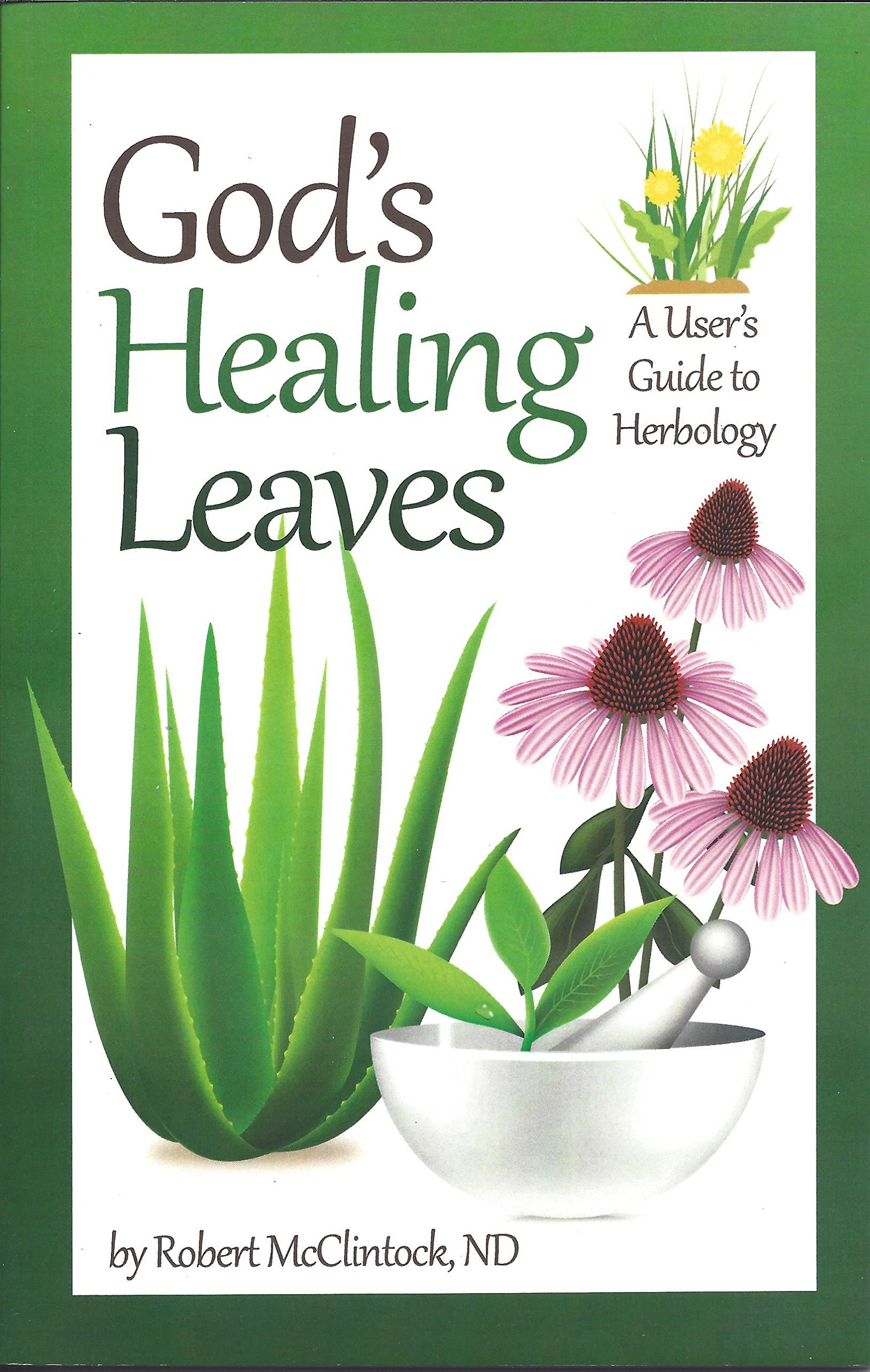 Buy God's Healing Leaves — BookShops.in