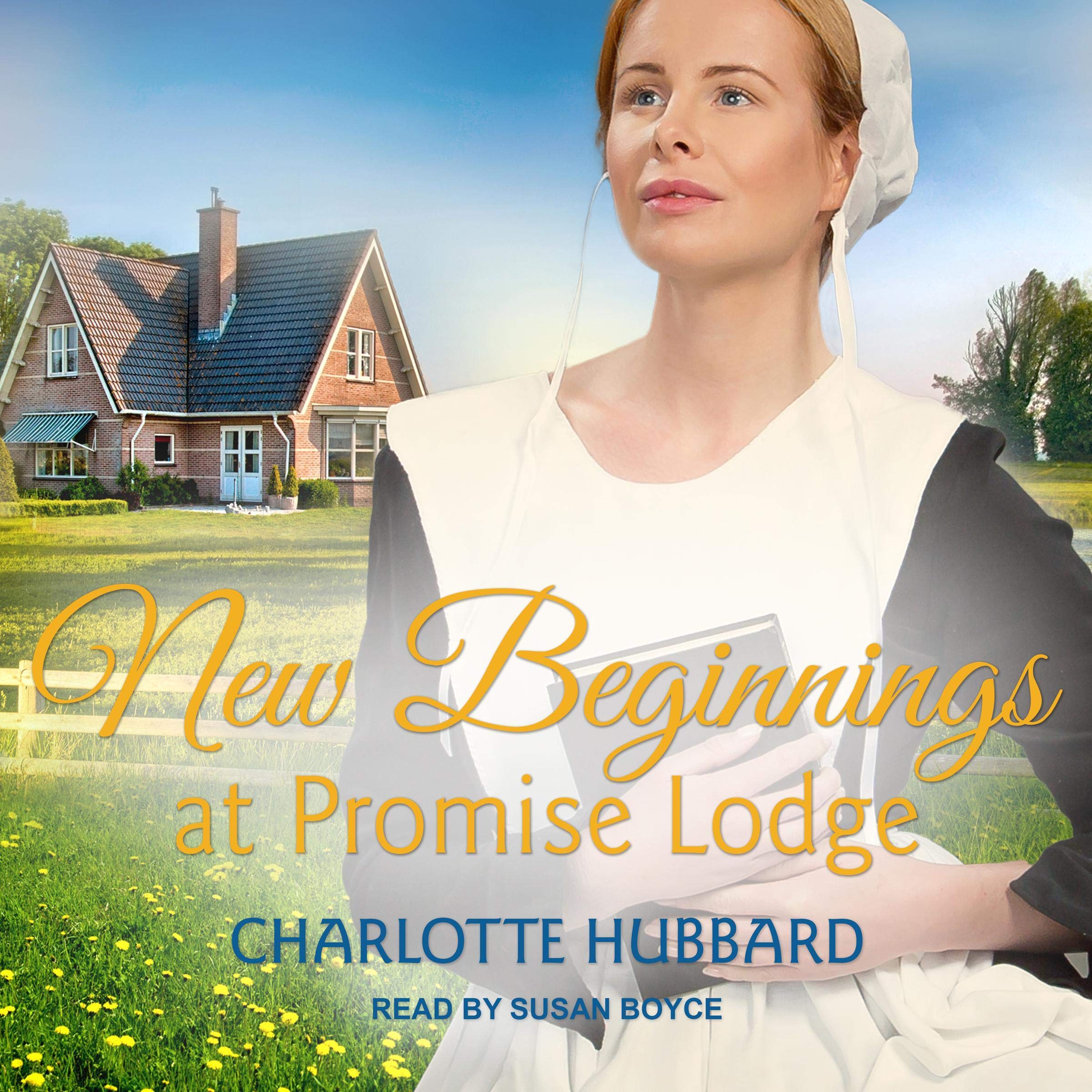 Cover art for New Beginnings at Promise Lodge