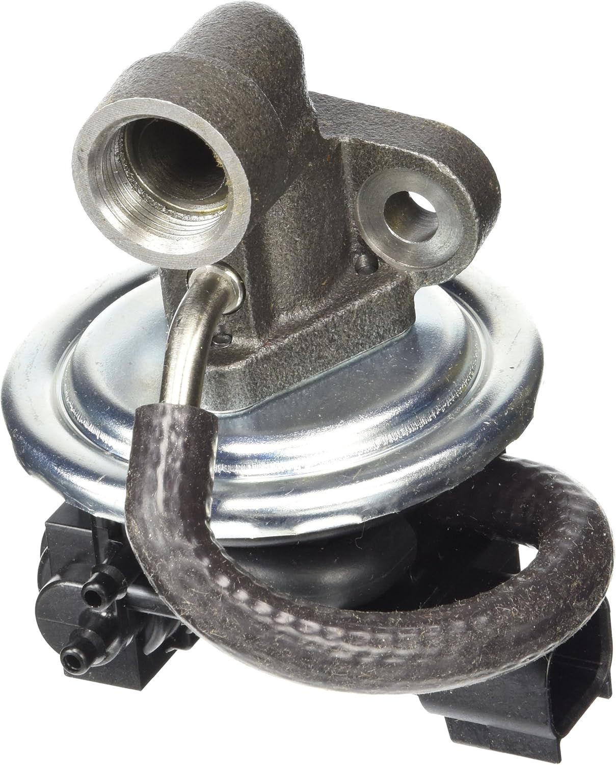 Internal Engine Component Motorcraft Exhaust Valve CX2059