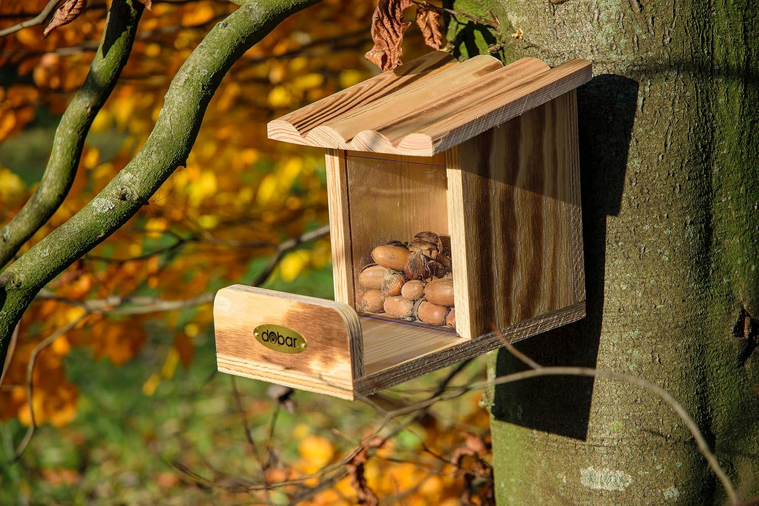 dobar® 22239FSCe Squirrel Feeding Station - Squirrel Feeder Solid Wood - Feeding Box with Protective Flap - Feeding Station for Squirrel Feeding Nuts/Seeds/Fruits - 24 x 15 x 17 cm - Flamed