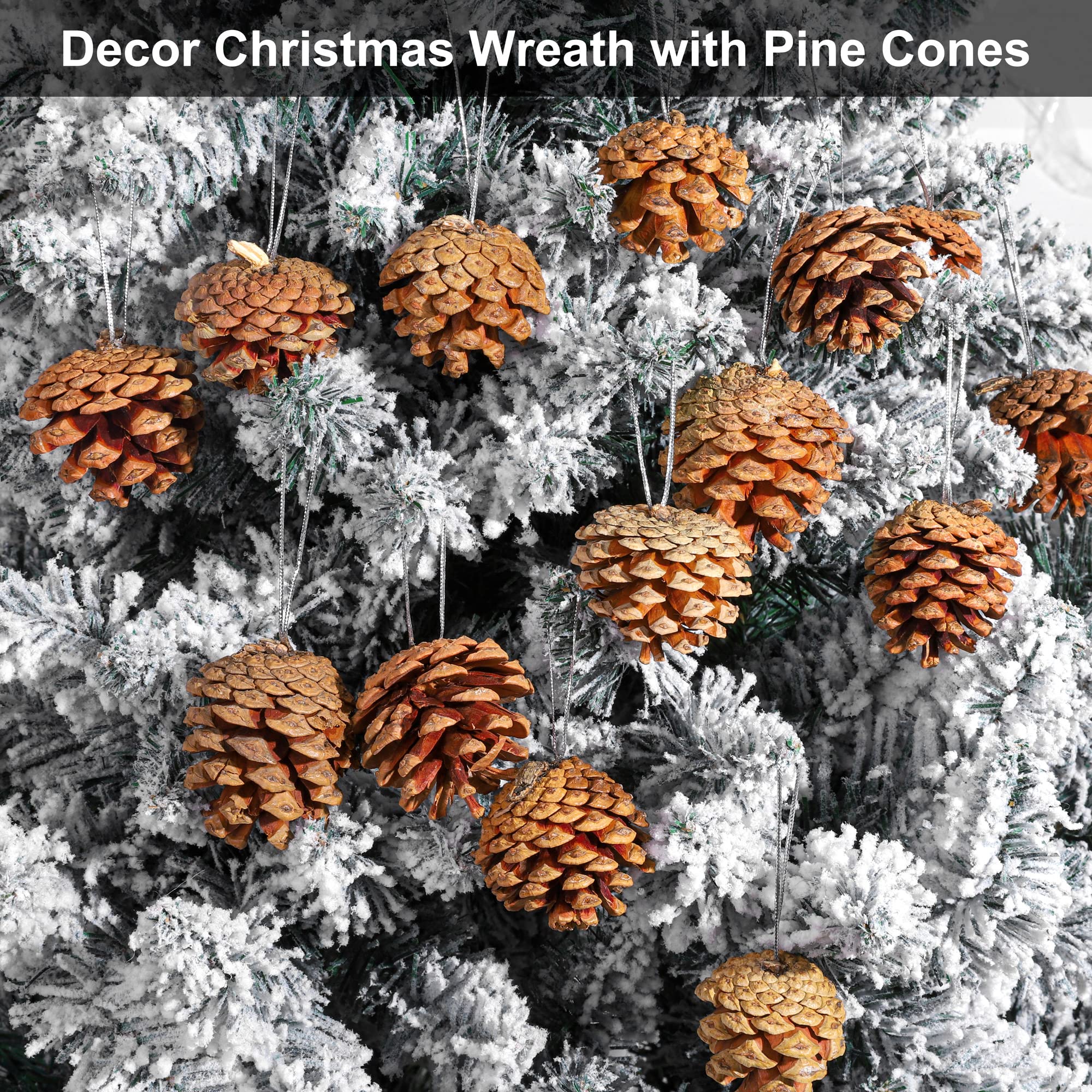 Fovths 30 Stück 2 Größen Weihnachten Tannenzapfen mit Schnur Mini Rustikale Tannenzapfen Bulk Ornamente für Weihnachtsbaum Handwerk Urlaub Zuhause Hängende Ornament Party Favor Kamin Tisch Mittelstück