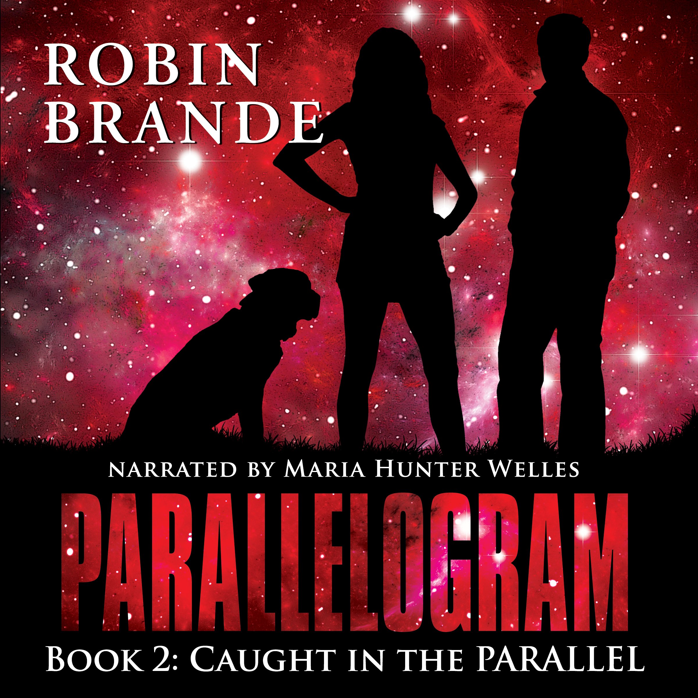 Cover art for Caught in the Parallel
