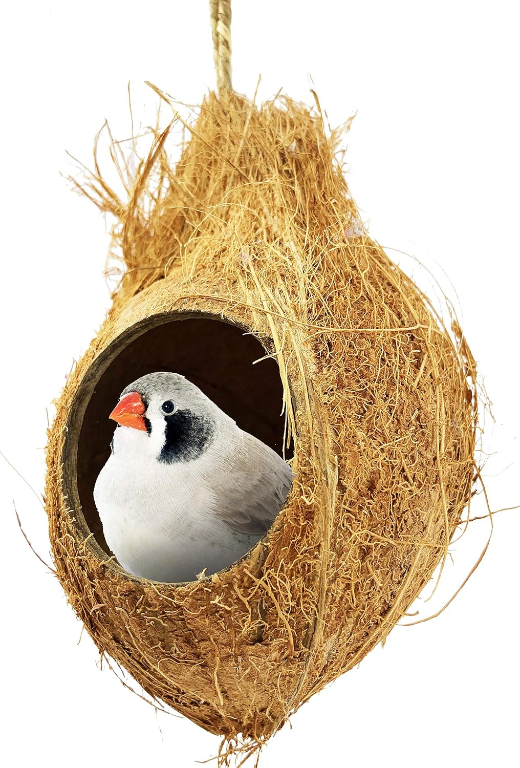Bonka Bird Toys 872 Coconut Hut Parrot Toy Part Craft Parrot cage Cages Natural nest