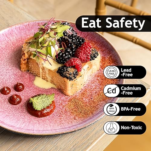 Miniatura 3 de MIAMIO Juego de 6 platos llanos de 8.3 in, platos de cerámica, platos de cocina, juegos de platos, aptos para microondas y lavavajillas - Colección