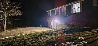 Review Image by L. Fuller L. Fuller