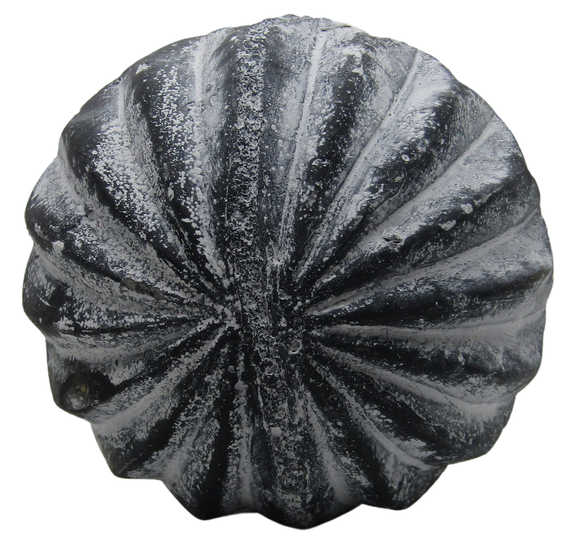 PD Home & Garden Sfera da giardino in calcestruzzo con diamante accentato bianco rustico, 10,2 cm di diametro
