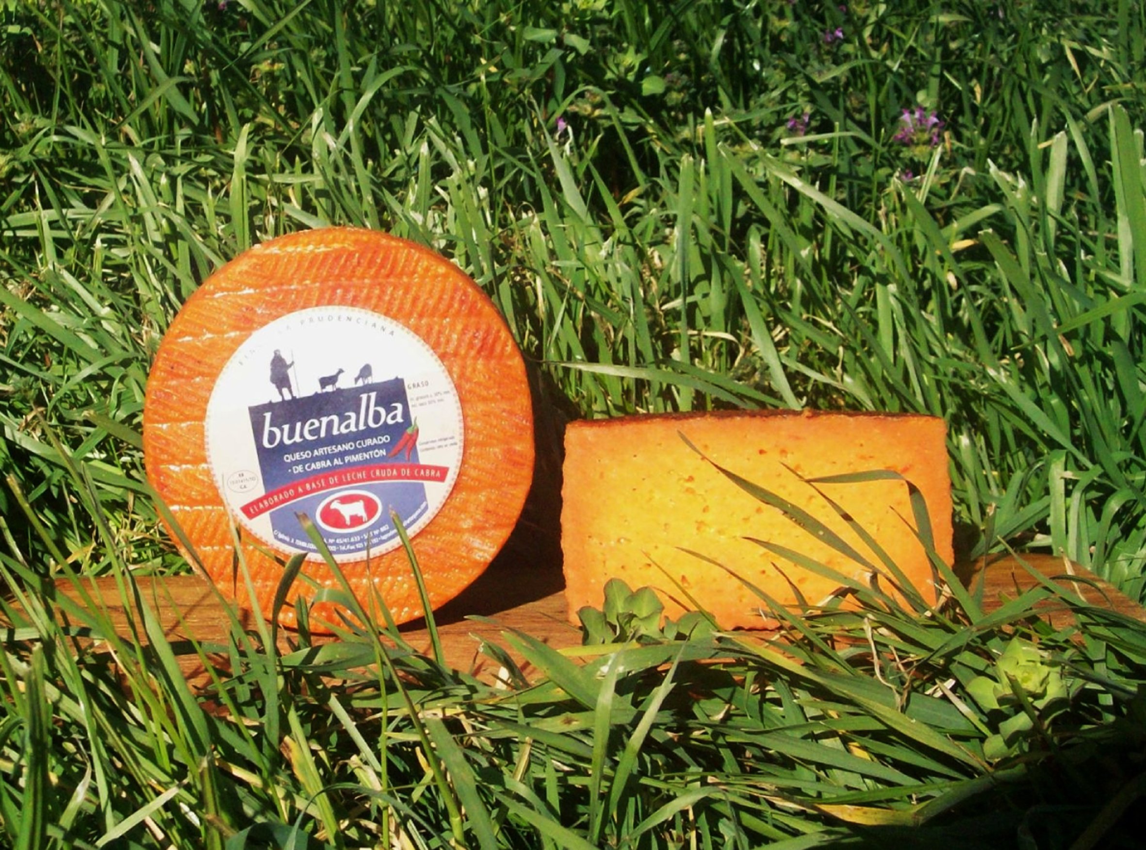 QUESO ARTESANO DE CABRA Y OVEJA AL PIMENTÓN. QUESO NARANJA (1KG)