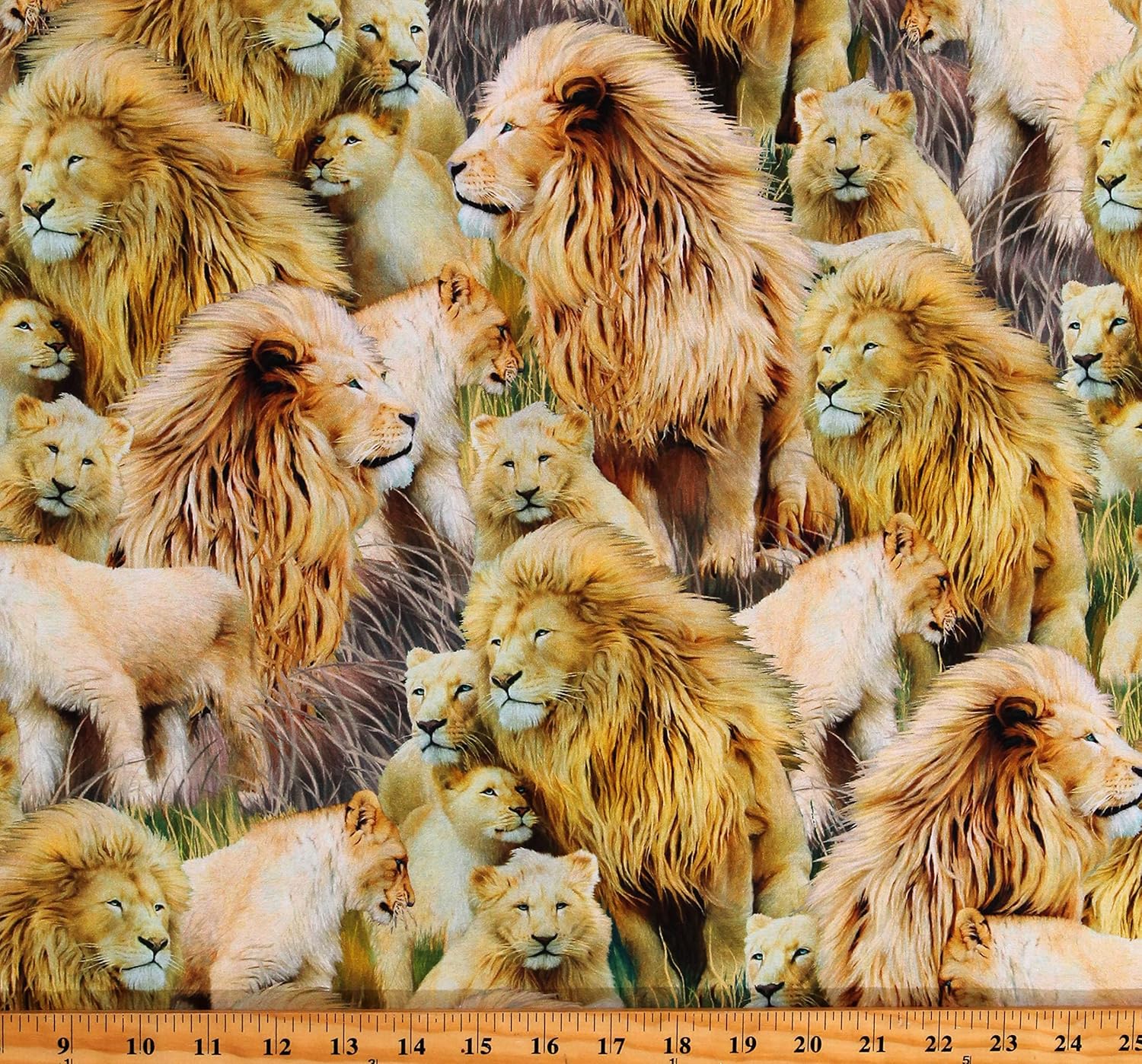 Fields Cotton Lion's Pride Animals Wildlife King of The Jungle Gold Cotton Fabric Print by The Yard (D378.55), 44 Inches