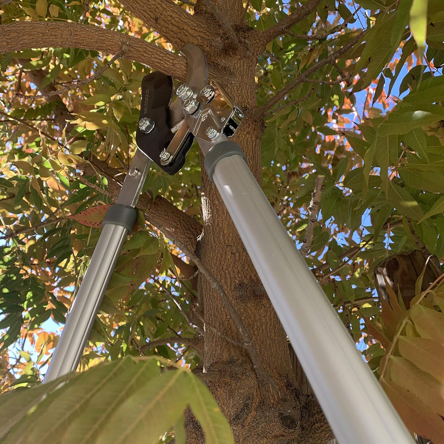 MLTOOLS Ratcheting Extendable Bypass Lopper for Gardening - Heavy Duty Ratchet Lopper 39½" Extendable Long Handle – Chops Through 1-3/4” thick Branches – Ideal for All Gardening Enthusiasts - L8230