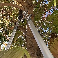 Vista 4 de MLTOOLS L8230 - L8230 - L8230 - Lopper extensible de 39.5 pulgadas para jardinería, mango largo extensible de 39.5 pulgadas, corta ramas de 1-3/4