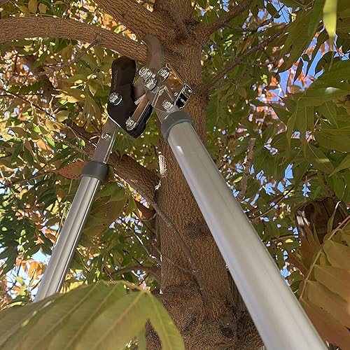 Miniatura 4 de MLTOOLS L8230 - L8230 - L8230 - Lopper extensible de 39.5 pulgadas para jardinería, mango largo extensible de 39.5 pulgadas, corta ramas de 1-3/4
