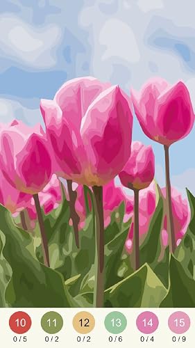 Oil Painting By Wonder Color - Photo By Number #TOP3