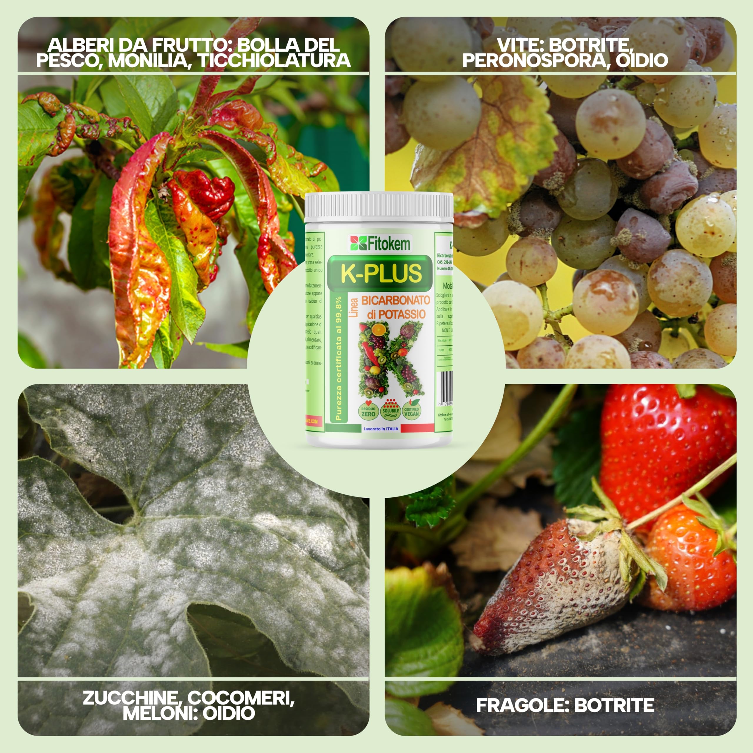 Fitokem K Plus Bicarbonato di Potassio 1KG Fertilizzante Fungicida Universale per Piante