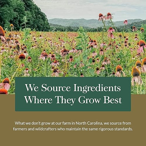 Miniatura 9 de Jarabe Gaia Hierbas Negro Elderberry, 751063800037, 1, 1