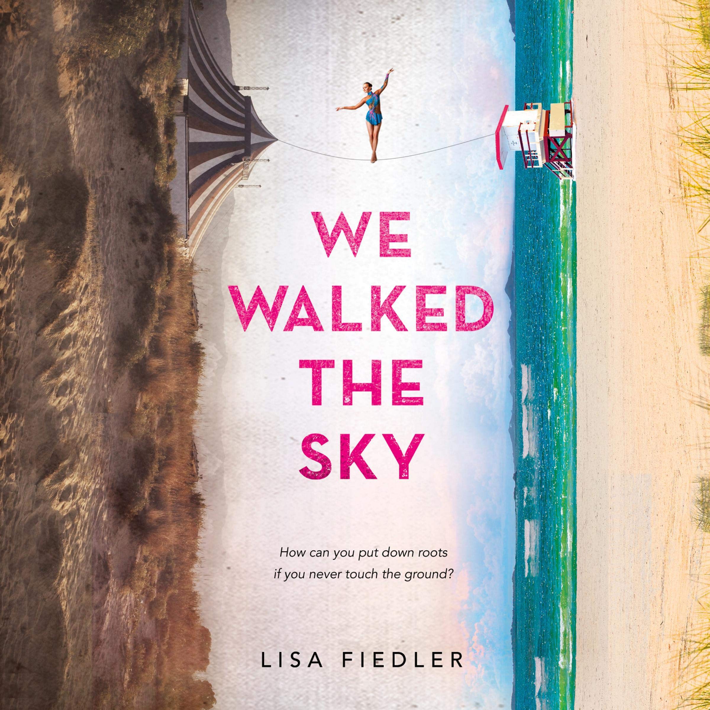 Cover art for We Walked the Sky