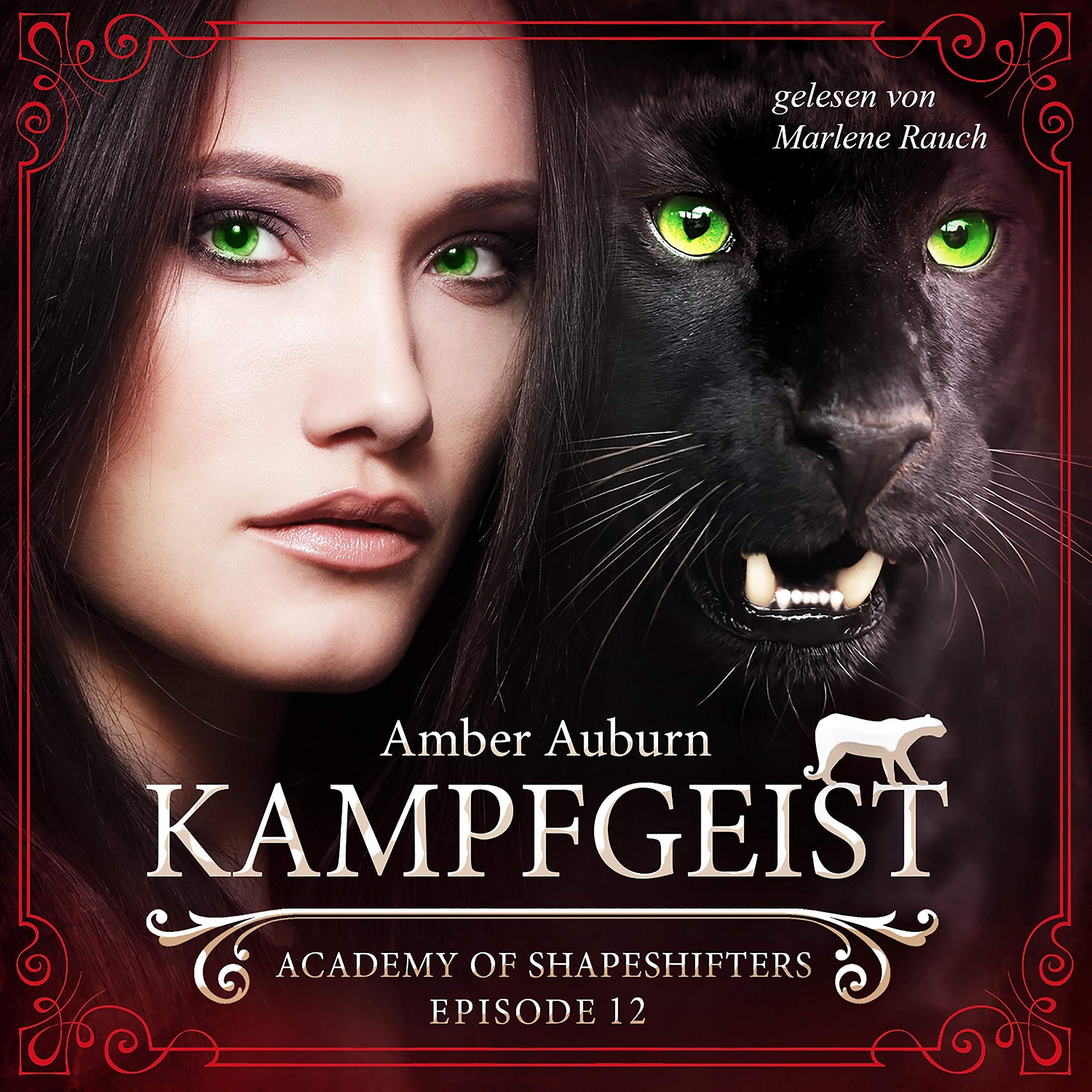 Cover art for Kampfgeist