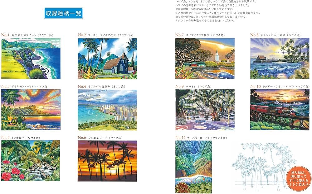 ハワイ島の説明絵画 ハワイ島海の夕日オリジナルアート油絵ロックガルアーティスト