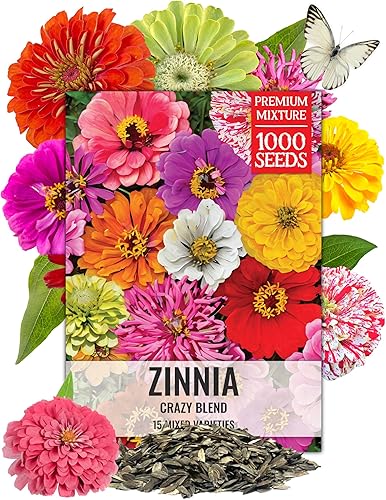 Miniatura 13 de Seed Needs Wildflower Seeds Cosmos Crazy Blend 1.5 onzas sin relleno Más de 10 variedades que incluyen conchas marinas, pureza y caramelo Cosmo