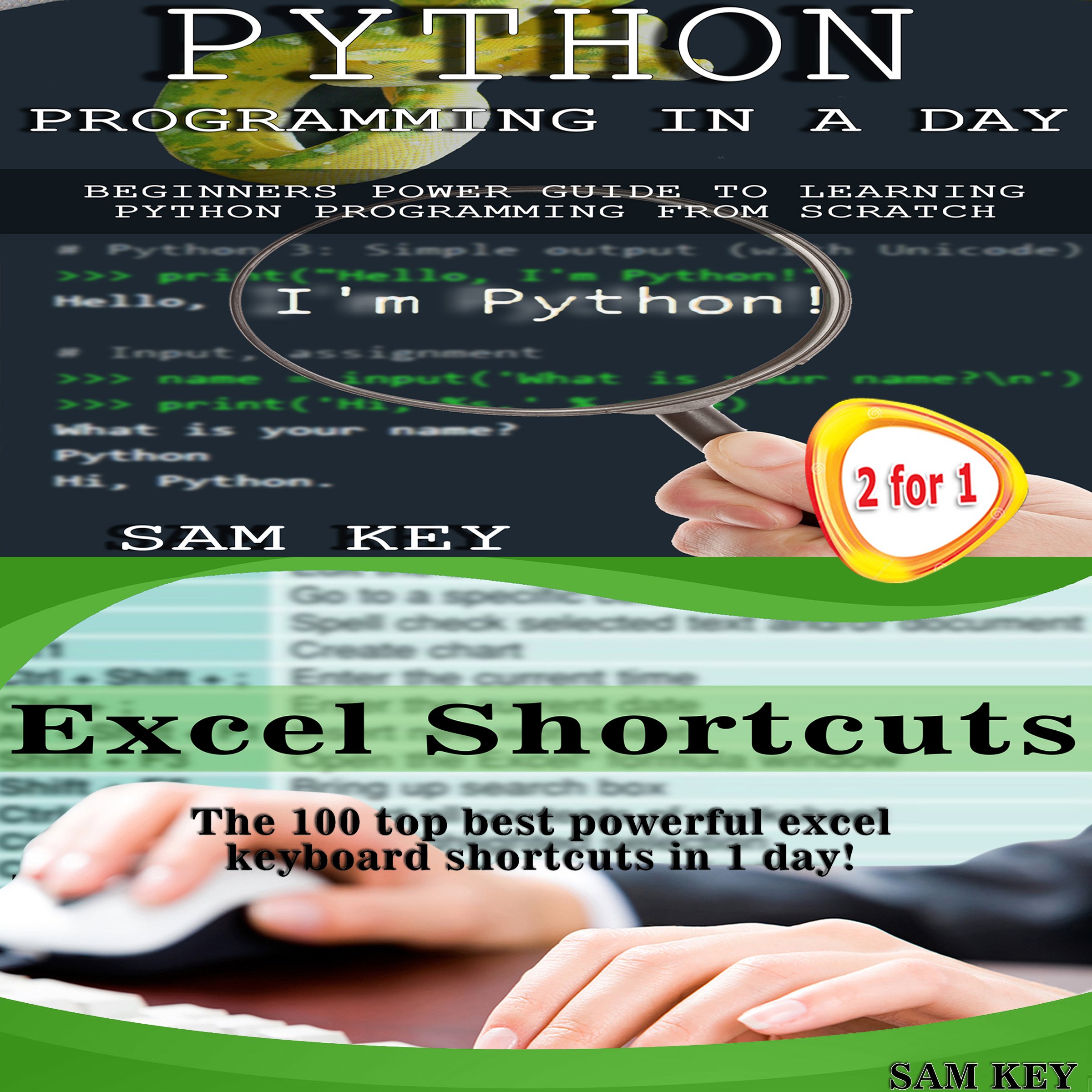 Python Programming Professional Made Easy & Excel Shortcuts