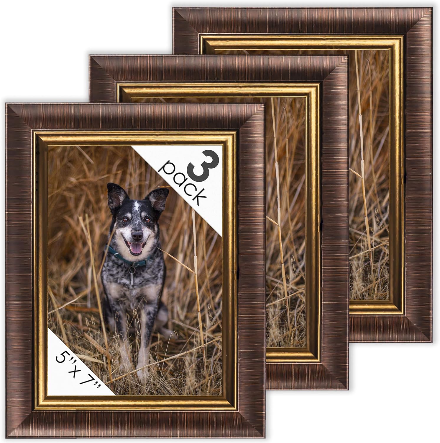 DecorRack Set of 3 Picture Frames 5x7 inches, Elegant