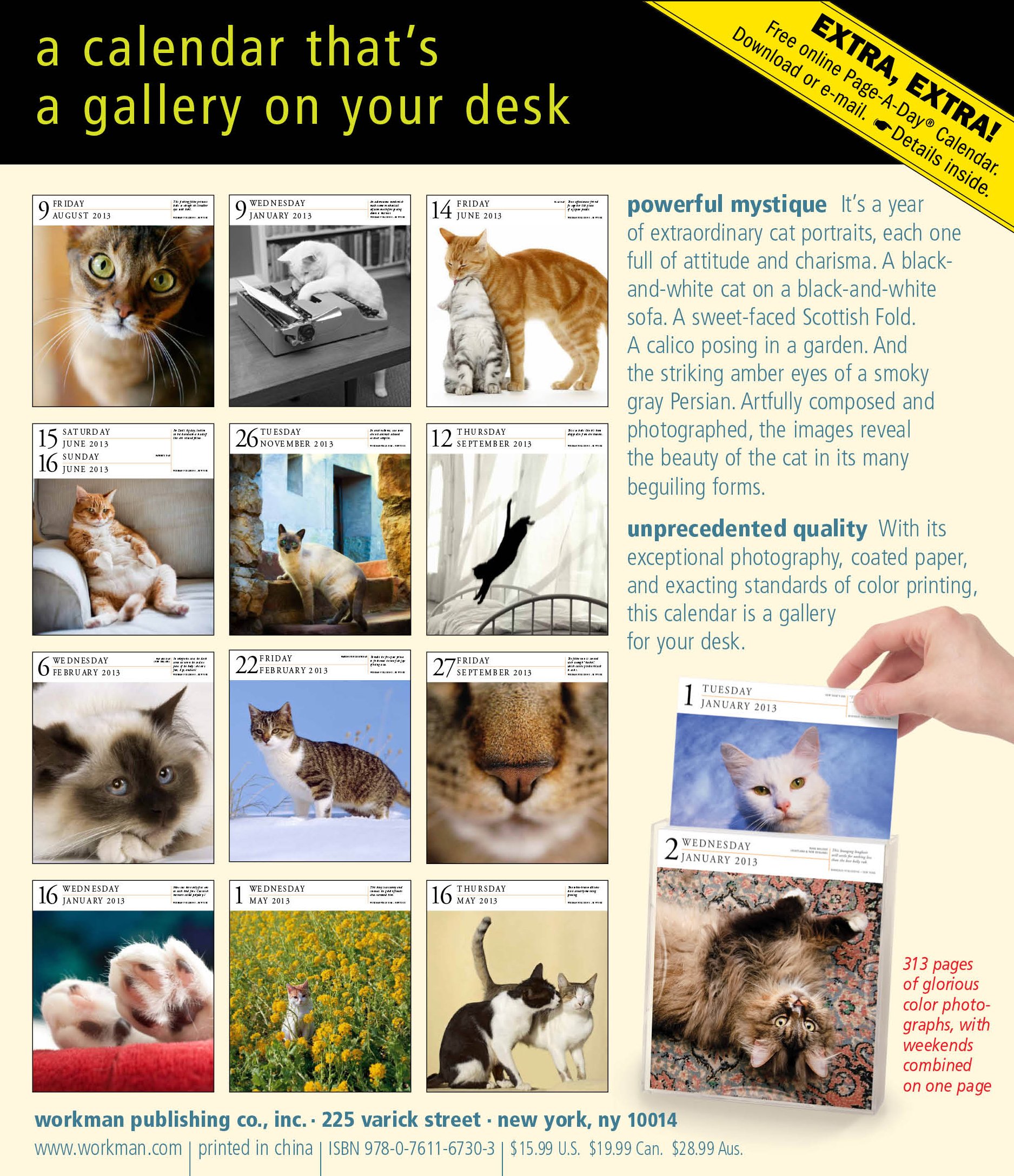 Cat Gallery 2013 Calendar