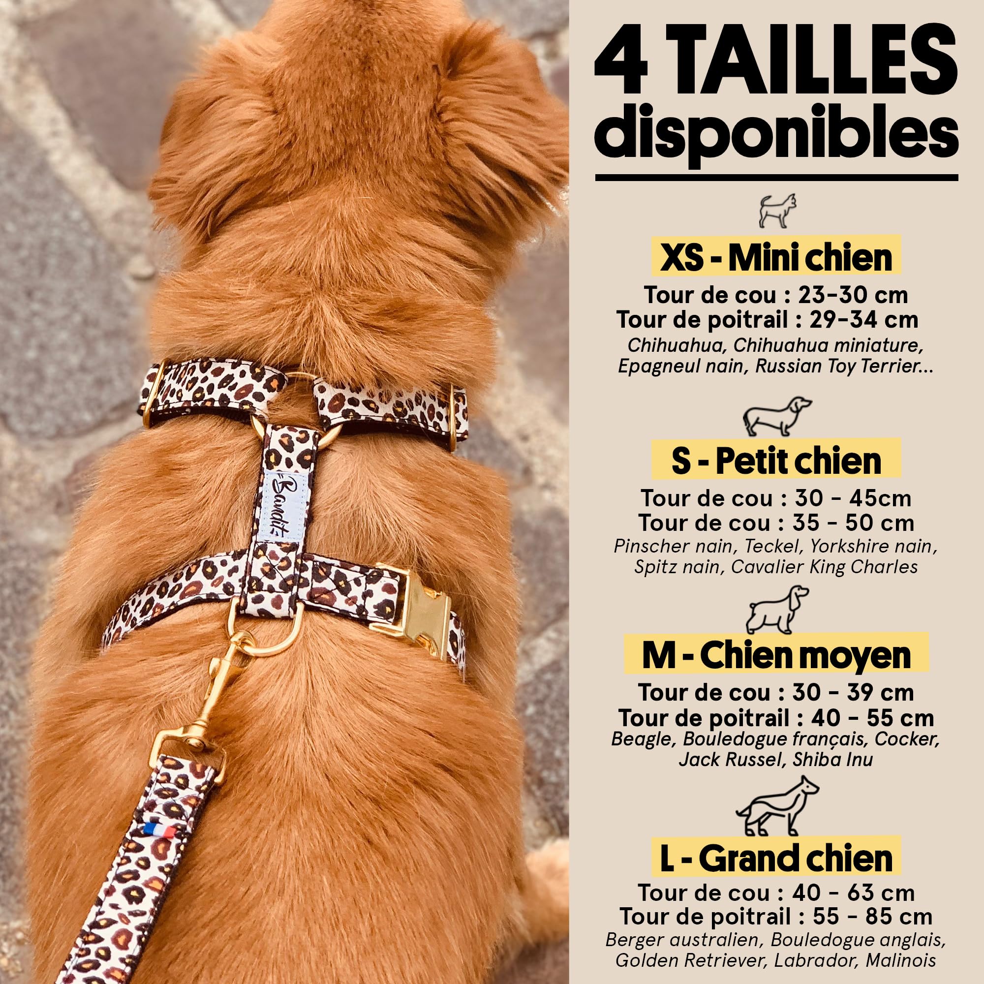 Bandit - Arnés para perro con diseño de leopardo elegante, talla XS | Circunferencia del cuello: 23-30 cm, pecho 29-34 cm, hebillas de latón, nailon, ajustable, duradero y lavable a máquina