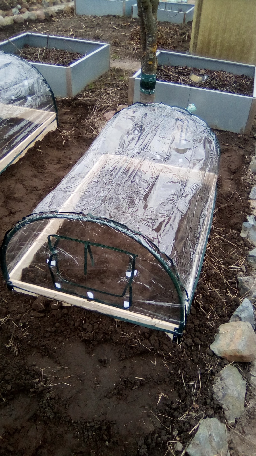 Mojawo XXL Frühbeet mit Holzrahmen 120 x 80 x 50 cm Gewächshaus