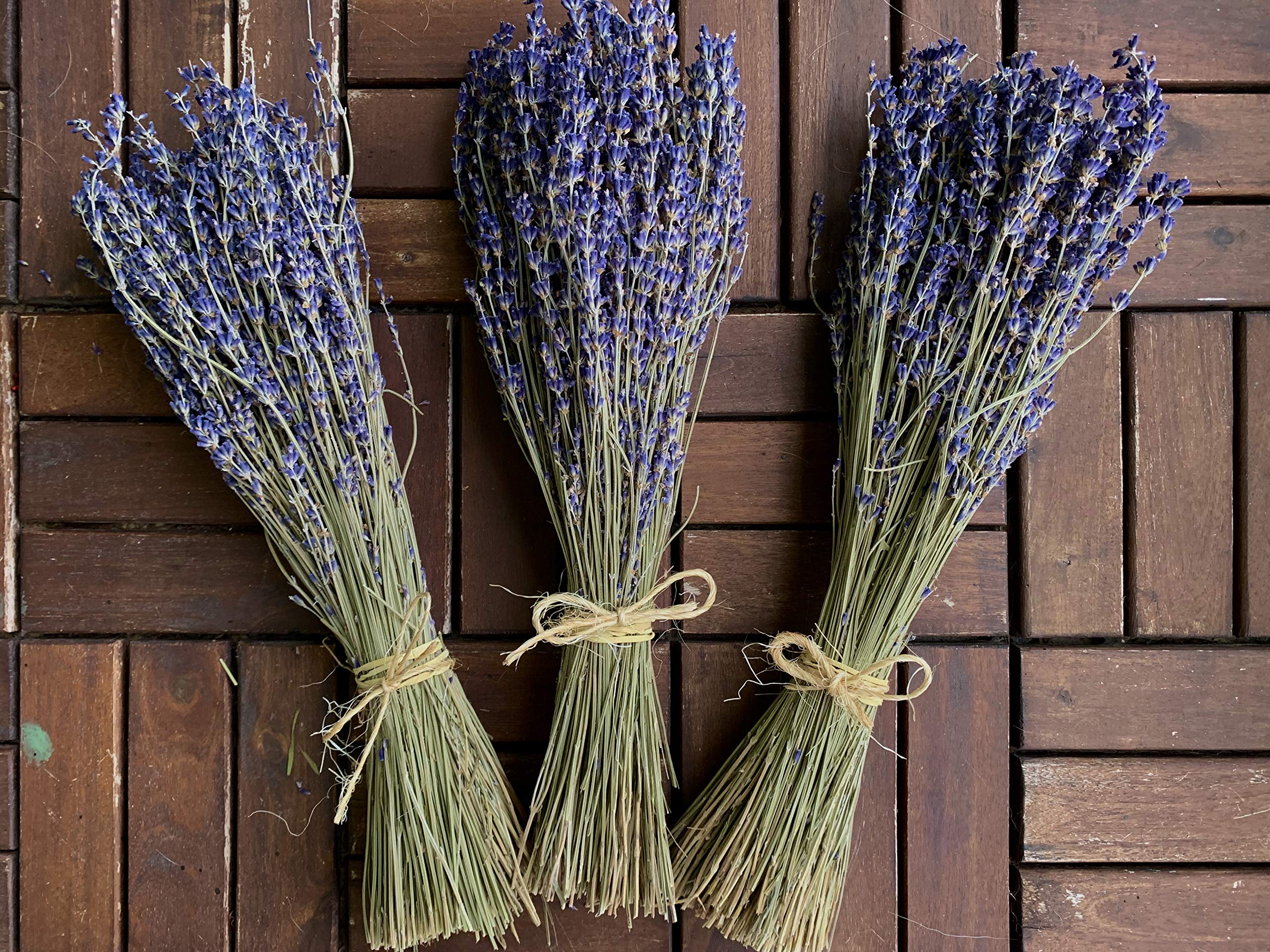 Dried Lavenders