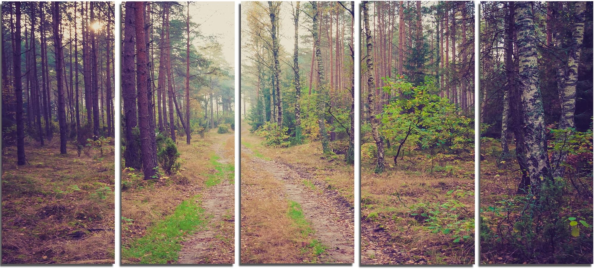 Designart PT13934-60-28-5PE Straight Pathway in Thick ForestModern Forest Canvas Art, 28'' H x 60'' W x 1'' D 5PE