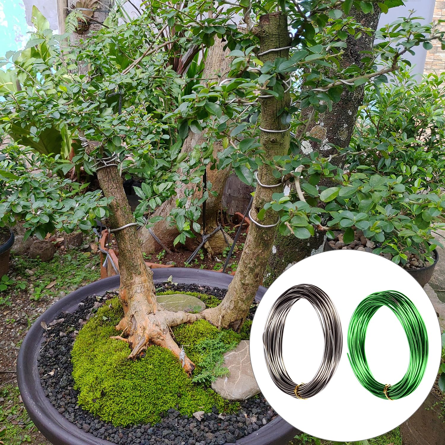 QWORK Bonsai Training Wire with Wire Cutter - 5 Rolls, Total 164 Feet Aluminum Wire 1/1.5/2.0 mm