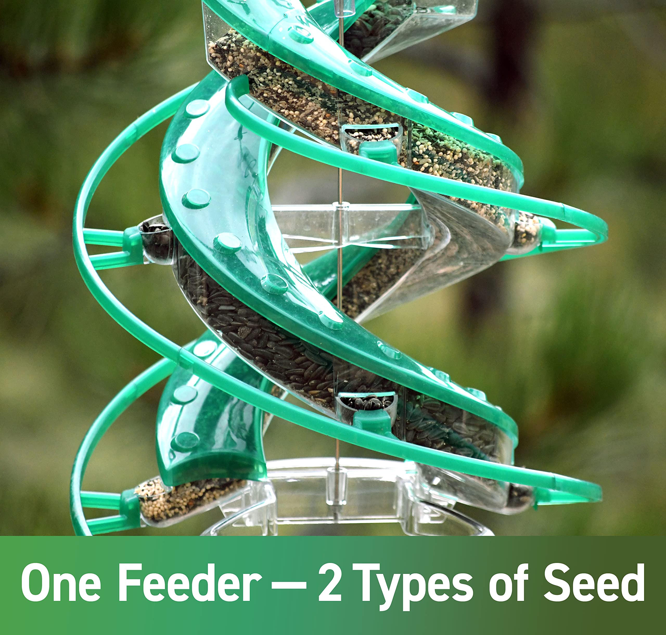 Amazon.com: Cascade® DNA™ Songbird Seed Feeder, Allows 2 Types of