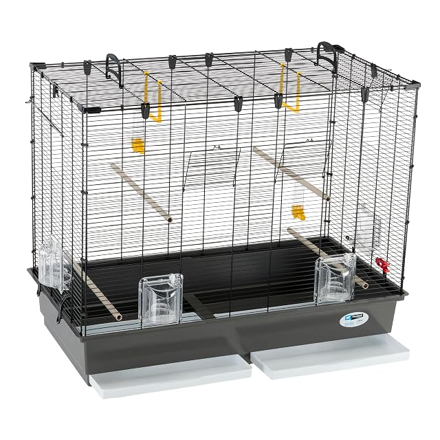 Foto 4 de 8 de Ferplast Amplia Jaula para Canarios, periquitos y pequeños pájaros exóticos Piano 6, con Accesorios