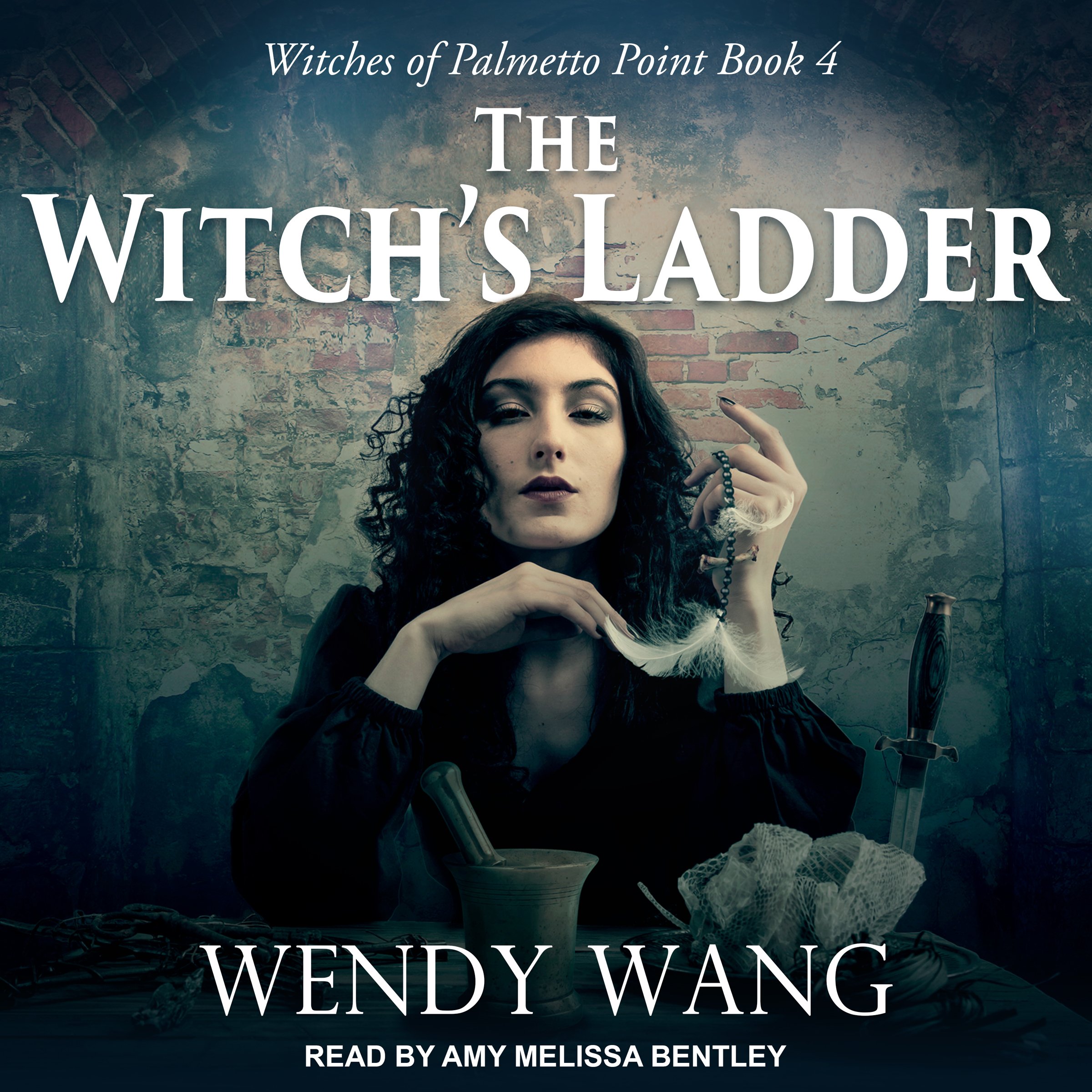 Cover art for The Witch's Ladder