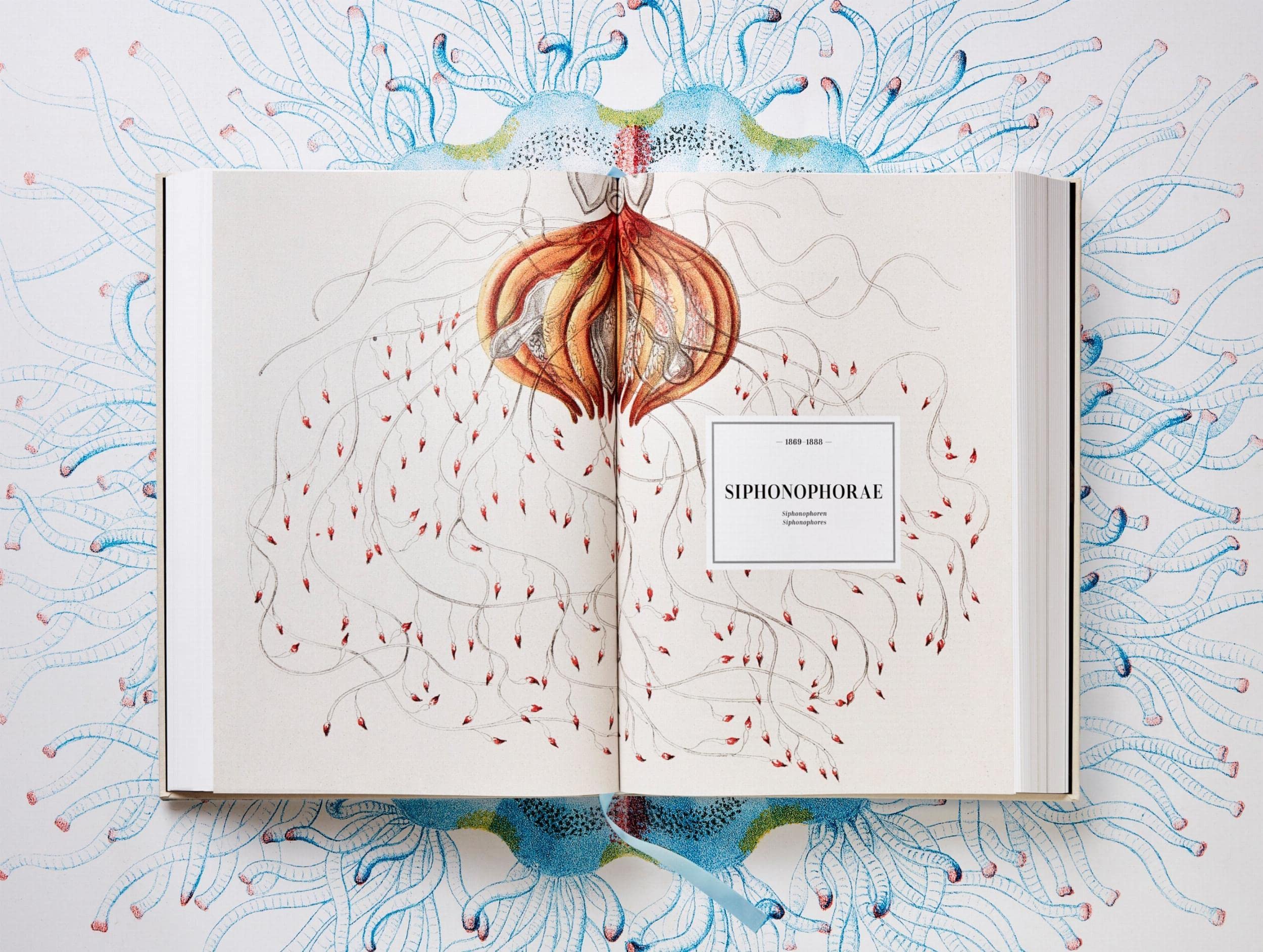 The Art and Science of Ernst Haeckel: The Complete Plates