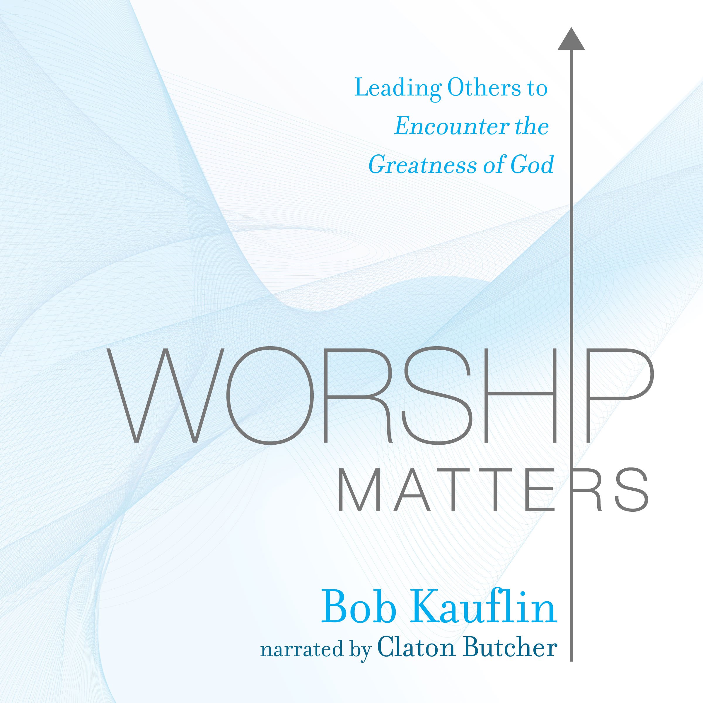 Cover art for Worship Matters: Leading Others to Encounter the Greatness of God