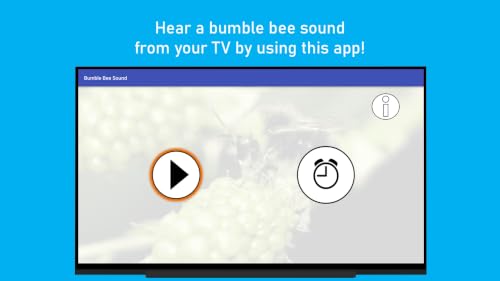 Bumble Bee Sound – vue 6