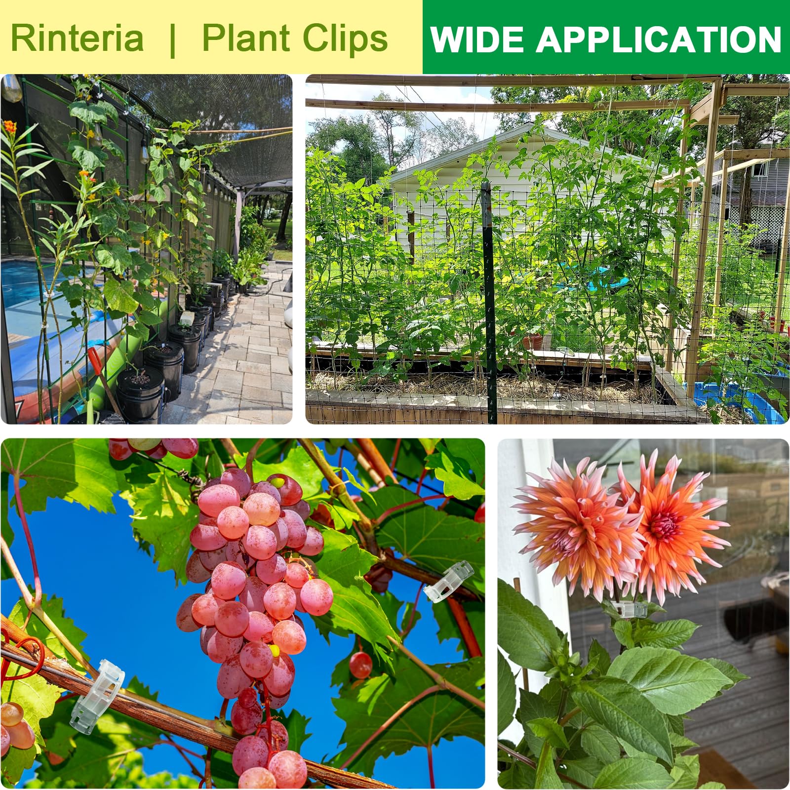 Tomatenklammern für Kletterpflanzen, 100 Stück, Pflanzenstützclips & Gartenclips für Gemüse, Rebe, transparent, wiederverwendbar, Kunststoff, Pflanzenclips für drinnen und draußen,