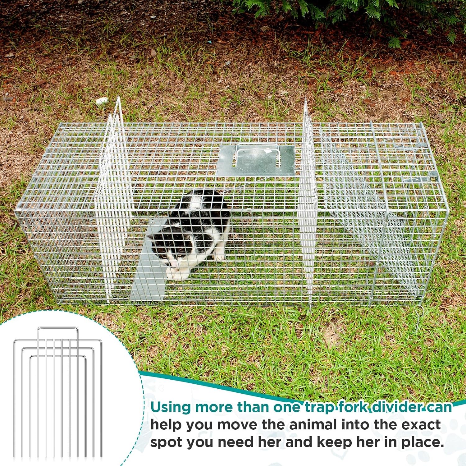 Qualirey Trap Divider Stainless Steel Small Animal Trap Fork Divider for 12" Wide and Smaller Live Feral Cat Cages