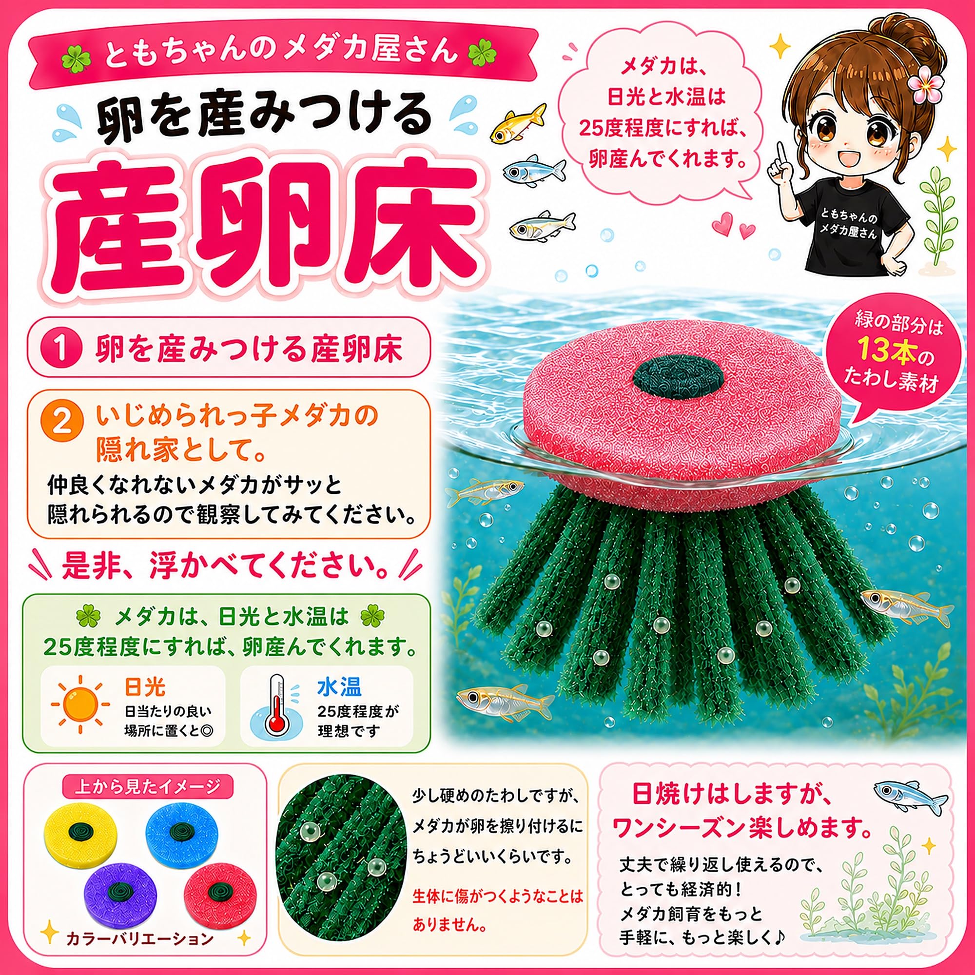 Amazon.co.jp: ともちゃんのメダカ屋さん】 メダカ 卵 産卵床 8個入 4