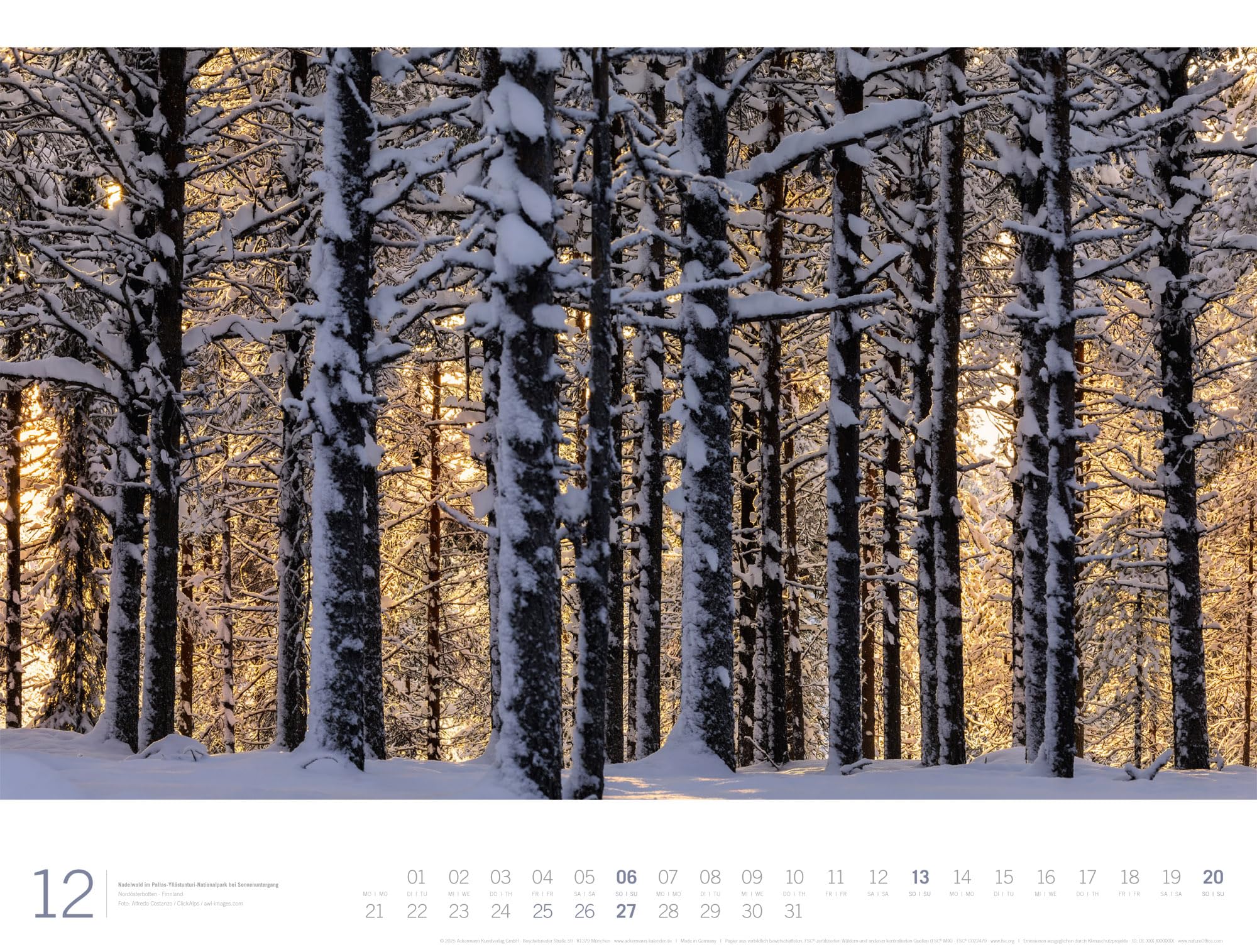 Wald Gallery Kalender 2026 | Geschmackvoller Natur-Kalender im großen Querformat (66x50 cm) | Wälder und Bäume im Großformat
