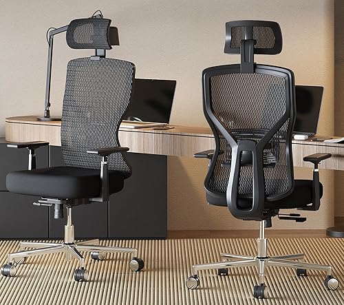 MOLENTS - Silla ergonómica de escritorio de oficina silla ajustable para computadora con deslizador de asiento soporte lumbar ajustable