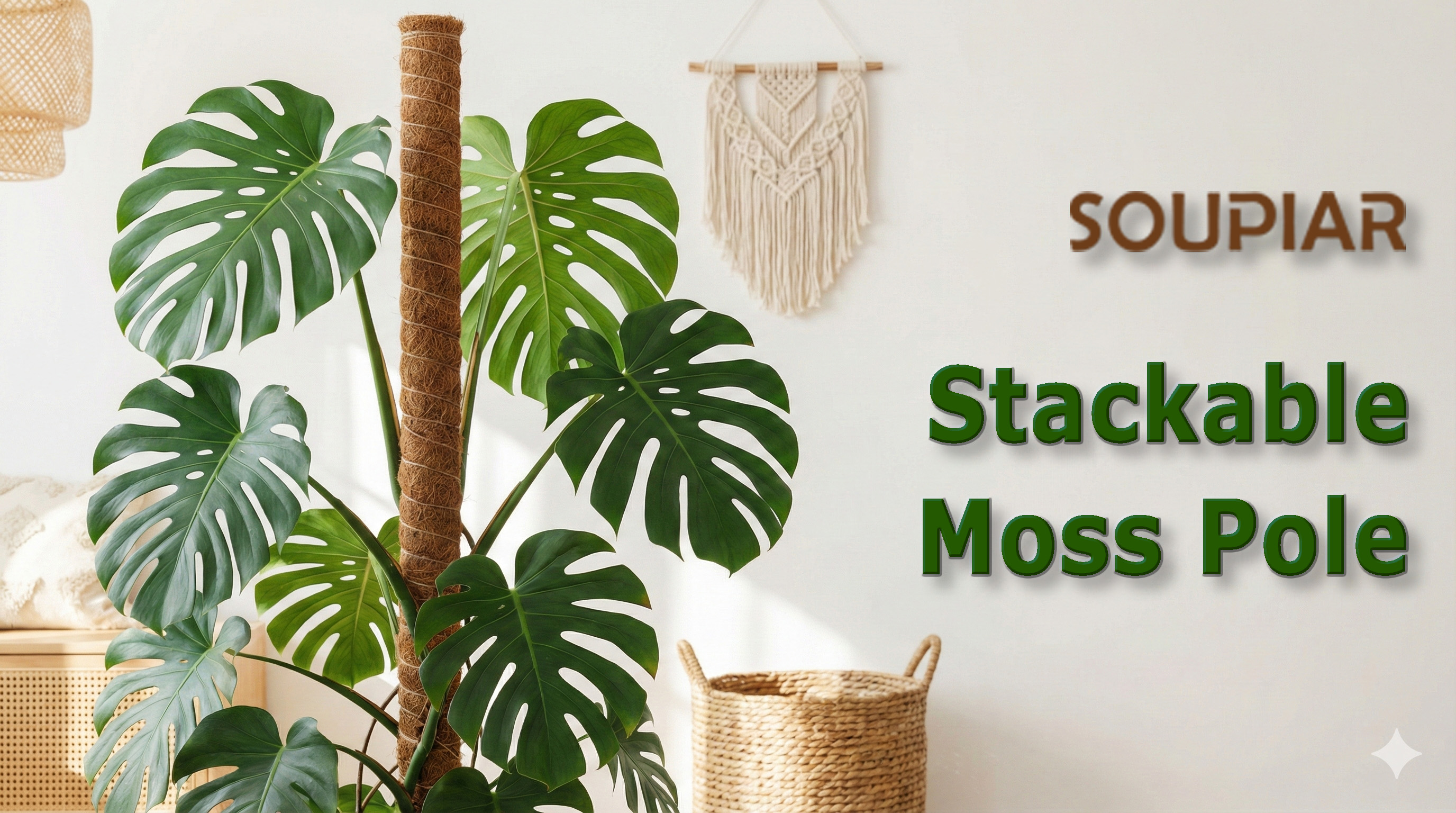 Amazon.com : Soupiar 2 Pack 22 Inch Stackable Moss Pole - Thick Amazon.com : Soupiar 2 Pack 22 Inch Stackable Moss Pole - Thick