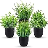 Der Rose Fake Plants 4 Packs Artificial Plants Small Faux Plants Black Bathroom Accessories for Halloween Bathroom Home Kitchen Coffee Table Office Desk Decor Indoor