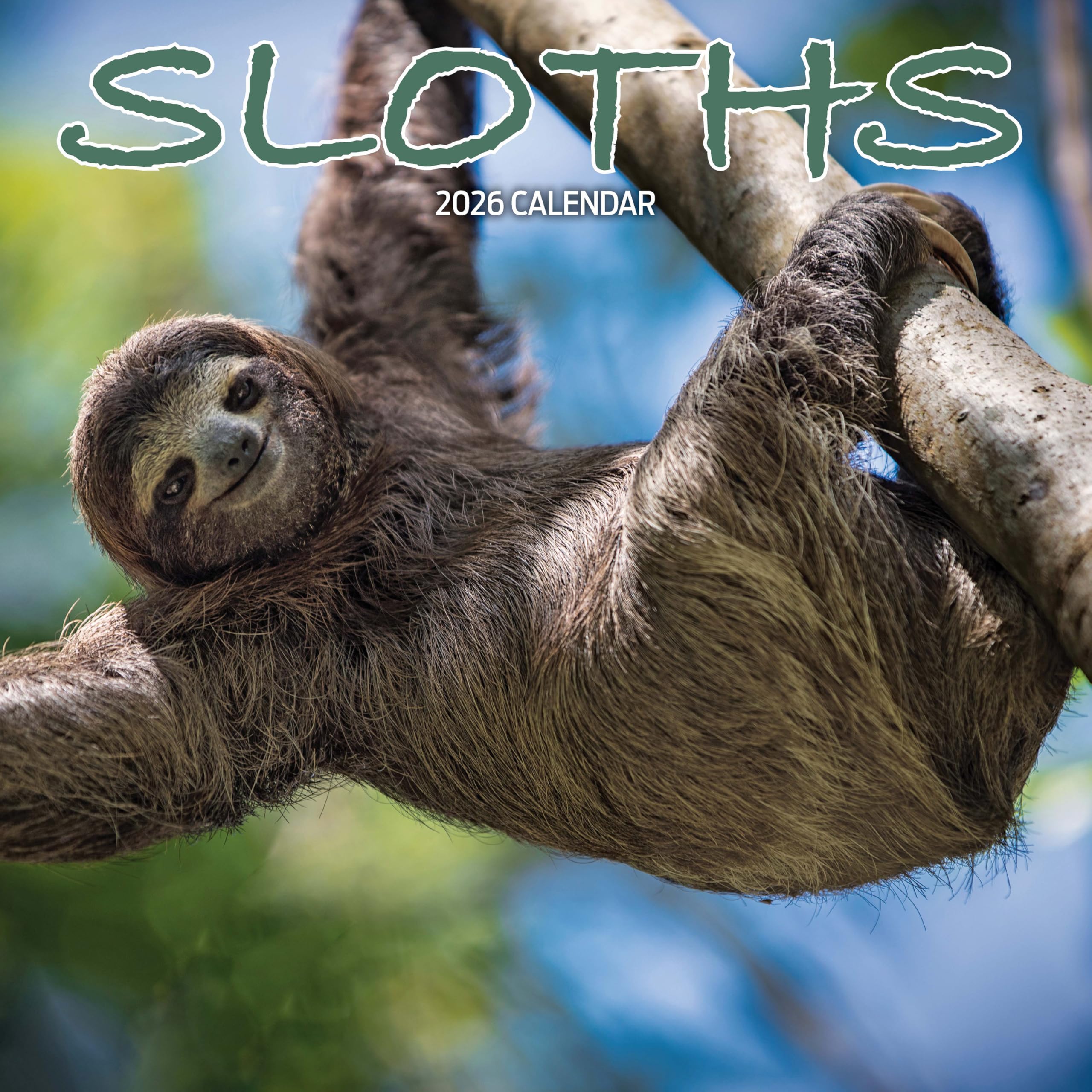 Sloths 2026 Calendar
