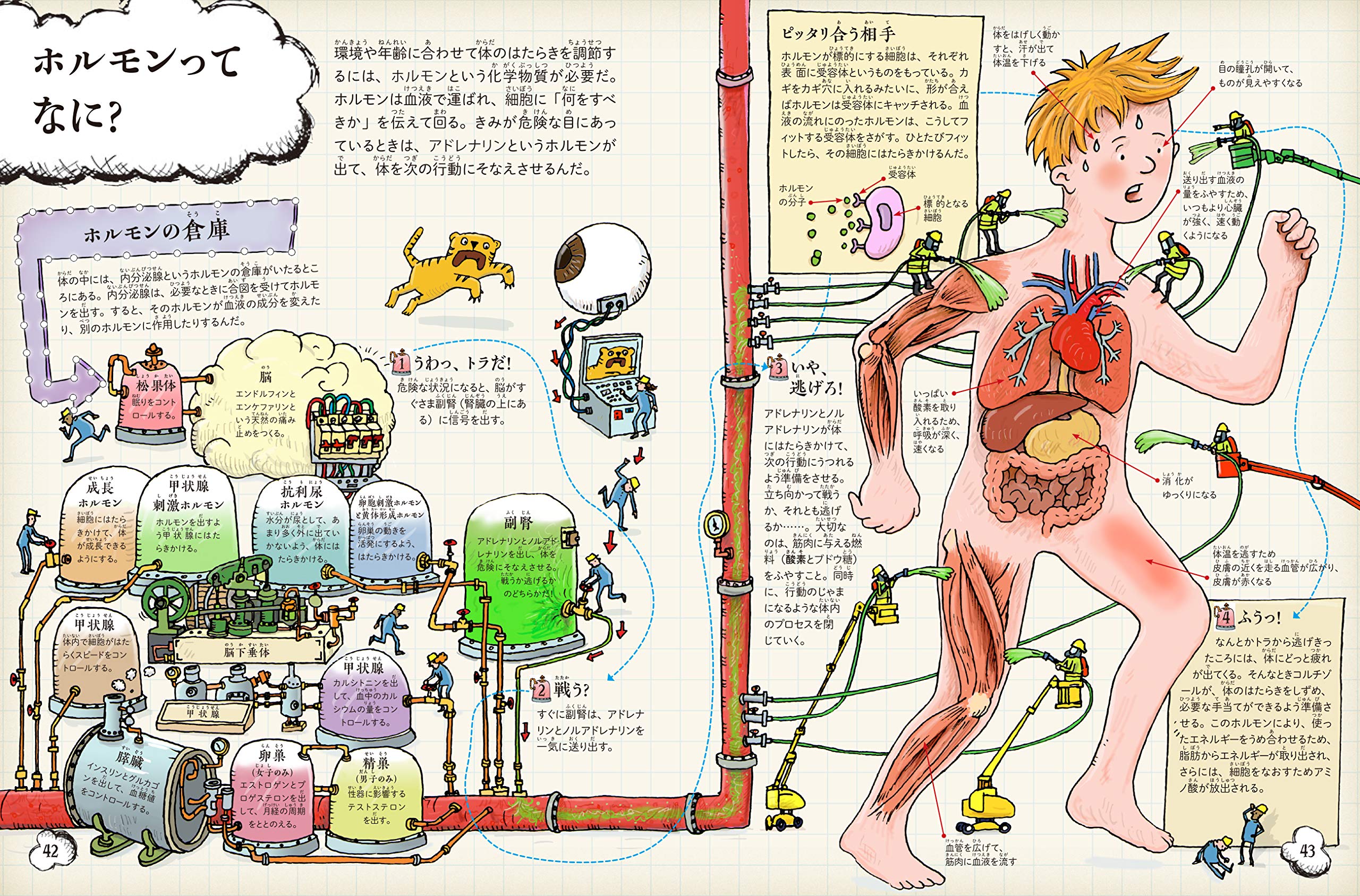 人体機能生理学 21VxkCMvA7L._AC_SY200_QL15_.jpg