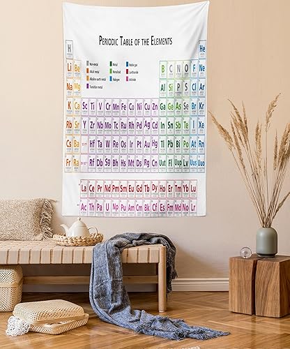 Ambesonne Tapiz de ciencia, estudiantes de primaria de química, lecciones geek nerd, impresión artística inteligente, colgante de pared para
